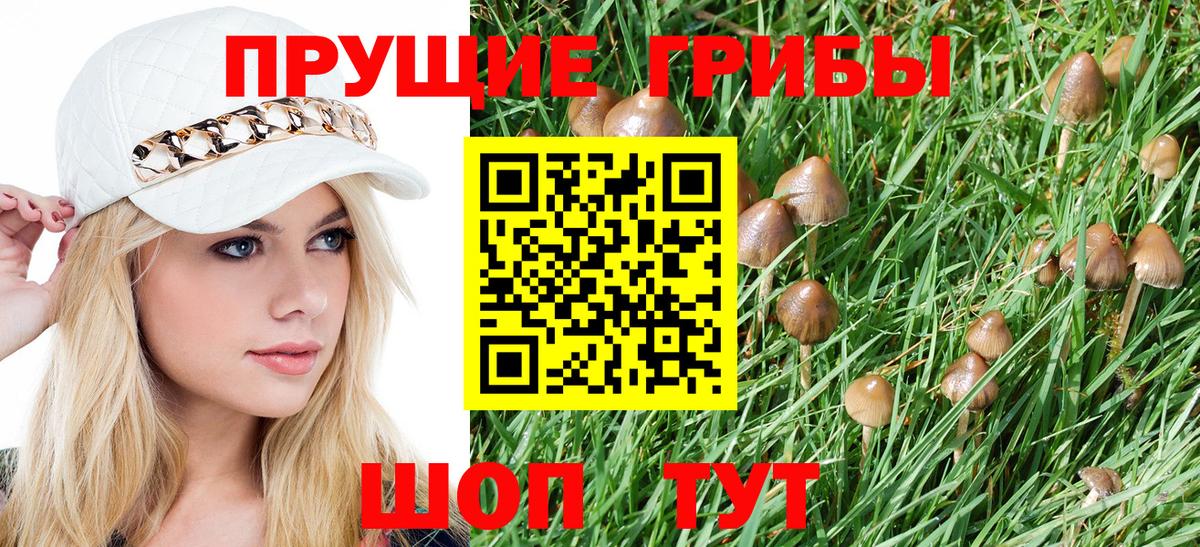 Усинск  Псилоцибиновые грибы Psilocybine cubensis  Вход с VPN 